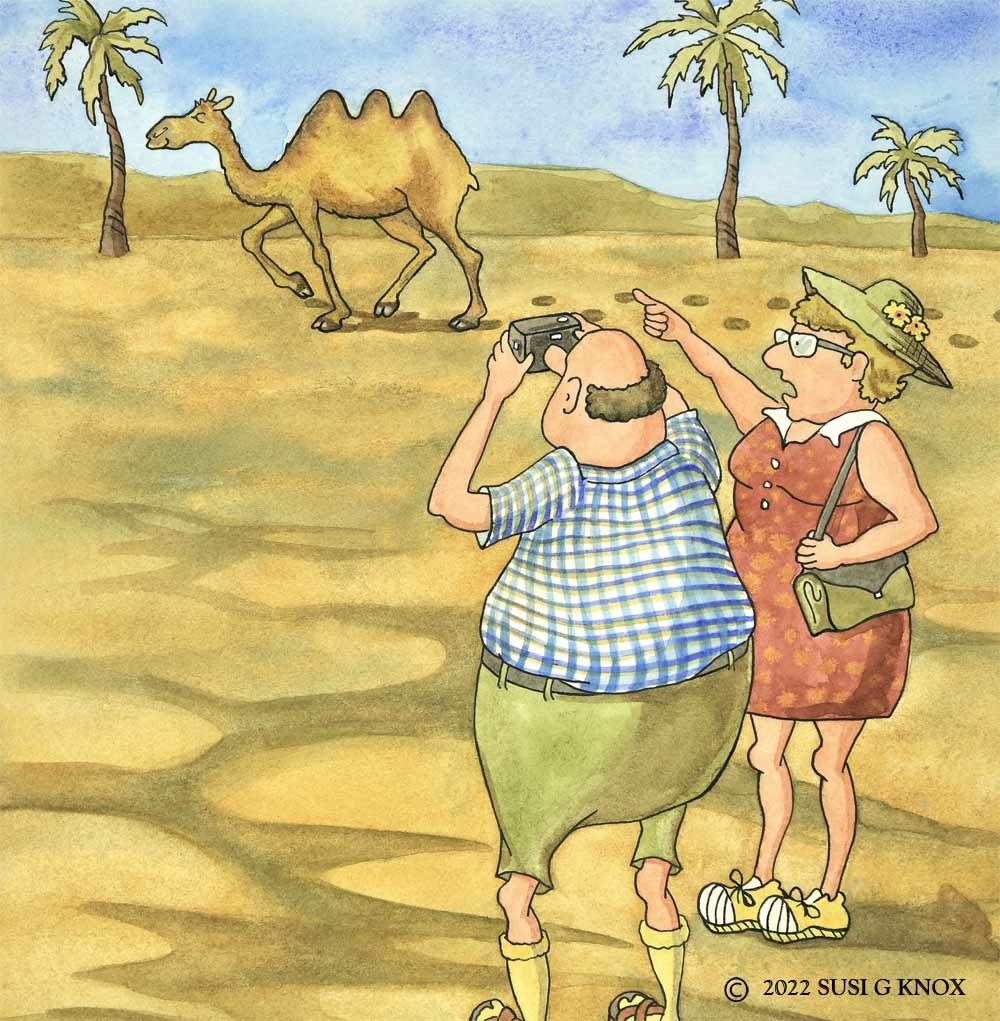 The Tourist Illustrations art by Susi