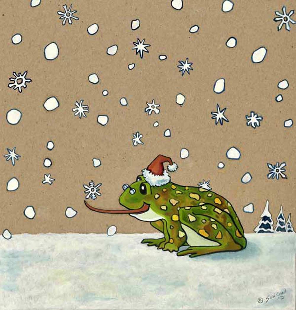 Frog Catching Snowflakes Illustrations art by Susi