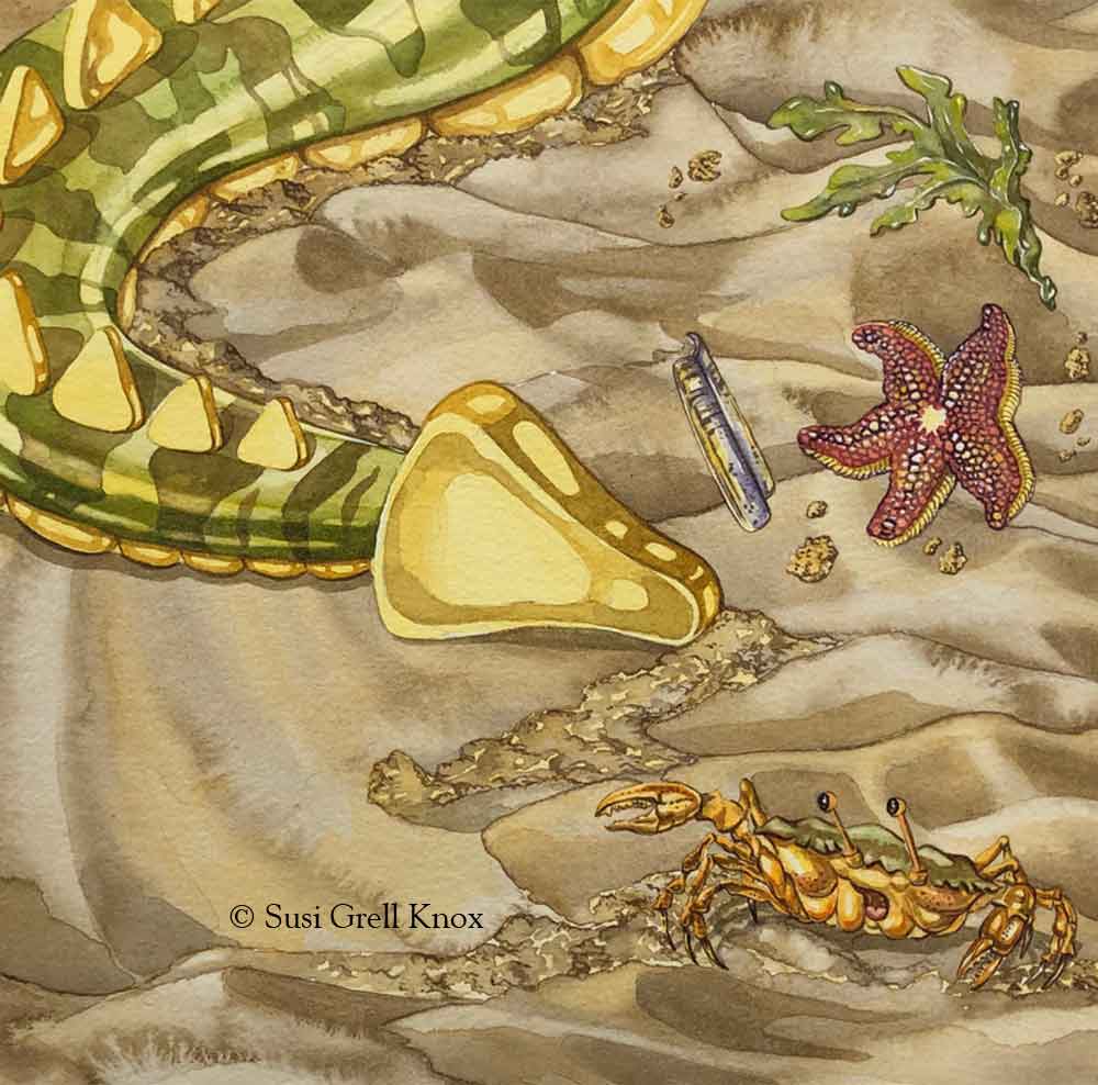 Tail End Illustrations art by Susi